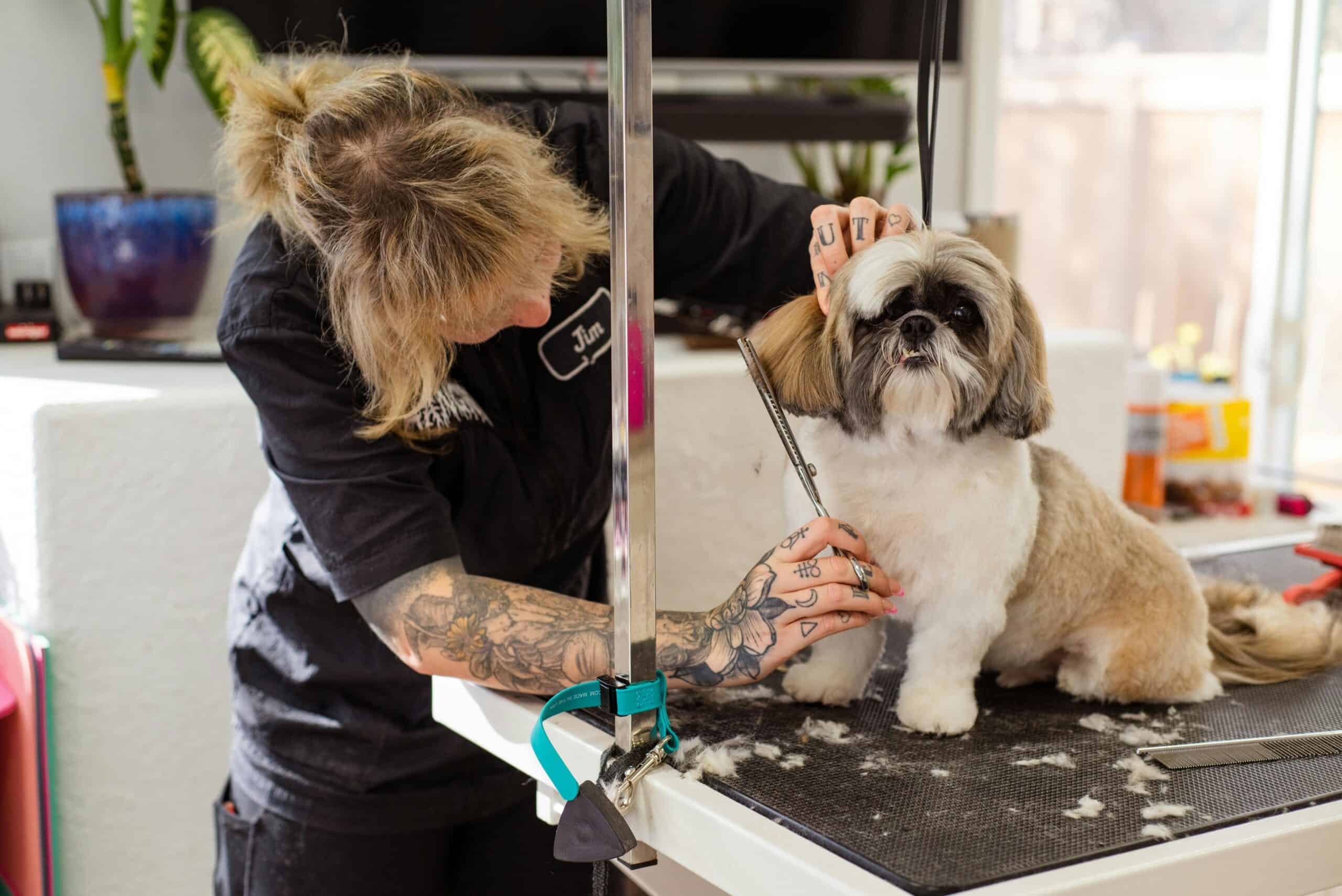 Happy Tails Grooming Studio photo 1