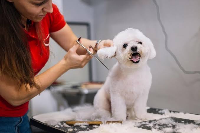 Happy Tails Grooming Studio photo 2